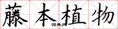 丁謙藤本植物楷書怎么寫