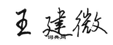 駱恆光王建微行書個性簽名怎么寫