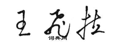 駱恆光王飛拉草書個性簽名怎么寫