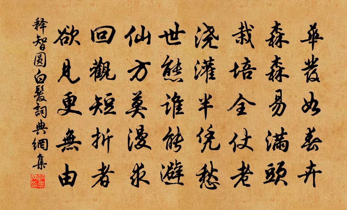 釋智圓白髮書法作品欣賞