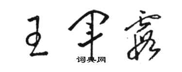 駱恆光王軍霞草書個性簽名怎么寫