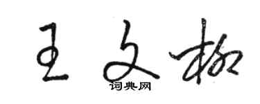 駱恆光王文柳草書個性簽名怎么寫