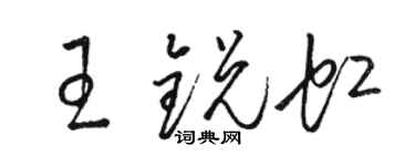 駱恆光王銳虹草書個性簽名怎么寫