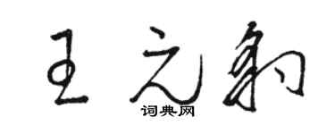 駱恆光王元豹草書個性簽名怎么寫