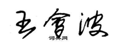 朱錫榮王會波草書個性簽名怎么寫