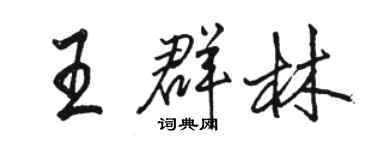 駱恆光王群林行書個性簽名怎么寫