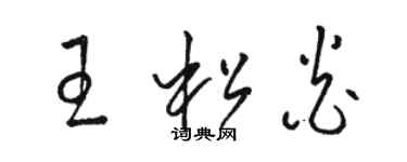 駱恆光王松炎草書個性簽名怎么寫