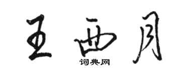 駱恆光王西月行書個性簽名怎么寫