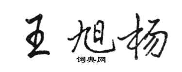 駱恆光王旭楊行書個性簽名怎么寫