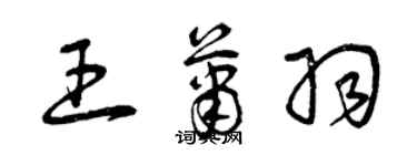 曾慶福王蕭羽草書個性簽名怎么寫