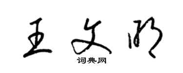 梁錦英王文明草書個性簽名怎么寫