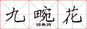 袁強九畹花楷書怎么寫