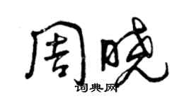 曾慶福周曉草書個性簽名怎么寫