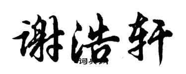 胡問遂謝浩軒行書個性簽名怎么寫