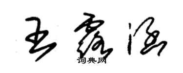 朱錫榮王露涵草書個性簽名怎么寫