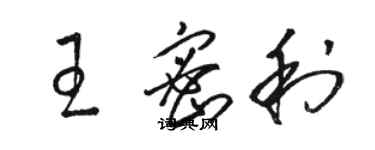 駱恆光王密利草書個性簽名怎么寫