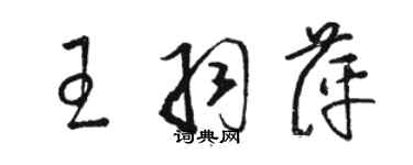 駱恆光王羽萍草書個性簽名怎么寫