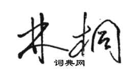 駱恆光林桐草書個性簽名怎么寫