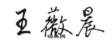 駱恆光王薇晨行書個性簽名怎么寫