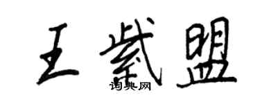 王正良王紫盟行書個性簽名怎么寫