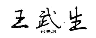 曾慶福王武生行書個性簽名怎么寫