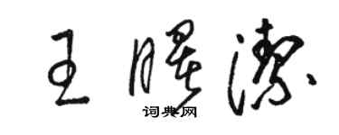 駱恆光王曙潔草書個性簽名怎么寫
