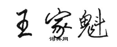 駱恆光王家魁行書個性簽名怎么寫