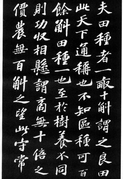 蘇軾小楷《養生論》