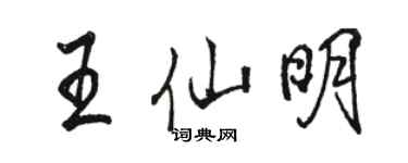 駱恆光王仙明行書個性簽名怎么寫