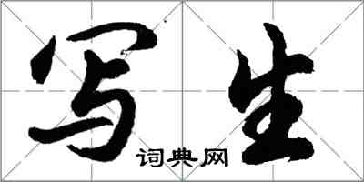 胡問遂寫生行書怎么寫