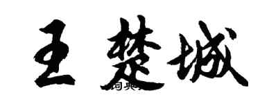 胡問遂王楚城行書個性簽名怎么寫