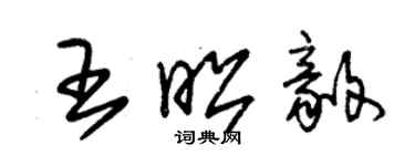 朱錫榮王昭毅草書個性簽名怎么寫