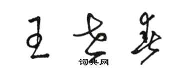 駱恆光王世春草書個性簽名怎么寫