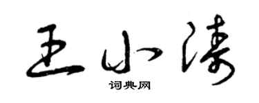 曾慶福王小濤草書個性簽名怎么寫