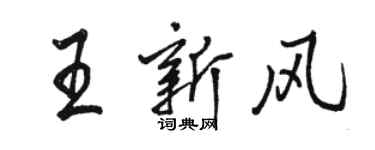 駱恆光王新風行書個性簽名怎么寫