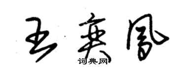 朱錫榮王奕鳳草書個性簽名怎么寫