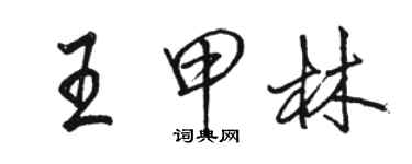 駱恆光王甲林行書個性簽名怎么寫