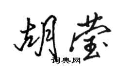 駱恆光胡瑩行書個性簽名怎么寫