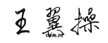 駱恆光王翼操行書個性簽名怎么寫