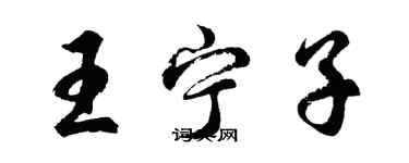 胡問遂王寧子行書個性簽名怎么寫