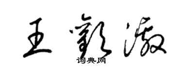 梁錦英王歡激草書個性簽名怎么寫