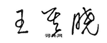 駱恆光王其曉草書個性簽名怎么寫