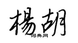 王正良楊胡行書個性簽名怎么寫