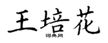 丁謙王培花楷書個性簽名怎么寫