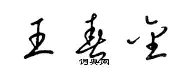梁錦英王春金草書個性簽名怎么寫