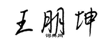 王正良王朋坤行書個性簽名怎么寫