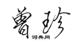 駱恆光曾珍行書個性簽名怎么寫