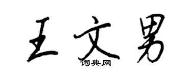 王正良王文男行書個性簽名怎么寫