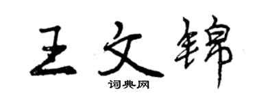 曾慶福王文錦行書個性簽名怎么寫
