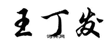 胡問遂王丁發行書個性簽名怎么寫